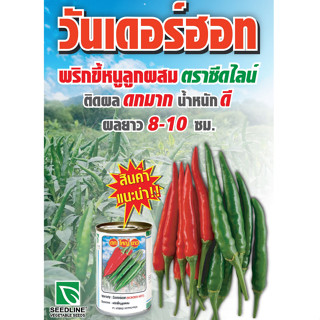 เมล็ดพันธุ์ พริกวันเดอร์ฮอท (WONDERHOT) ขนาด 50 กรัม SEEDLINE ผลยาว 8-10 ซม. ผลผลิตตรงตามความต้องการของตลาด ติดผล ดกมาก