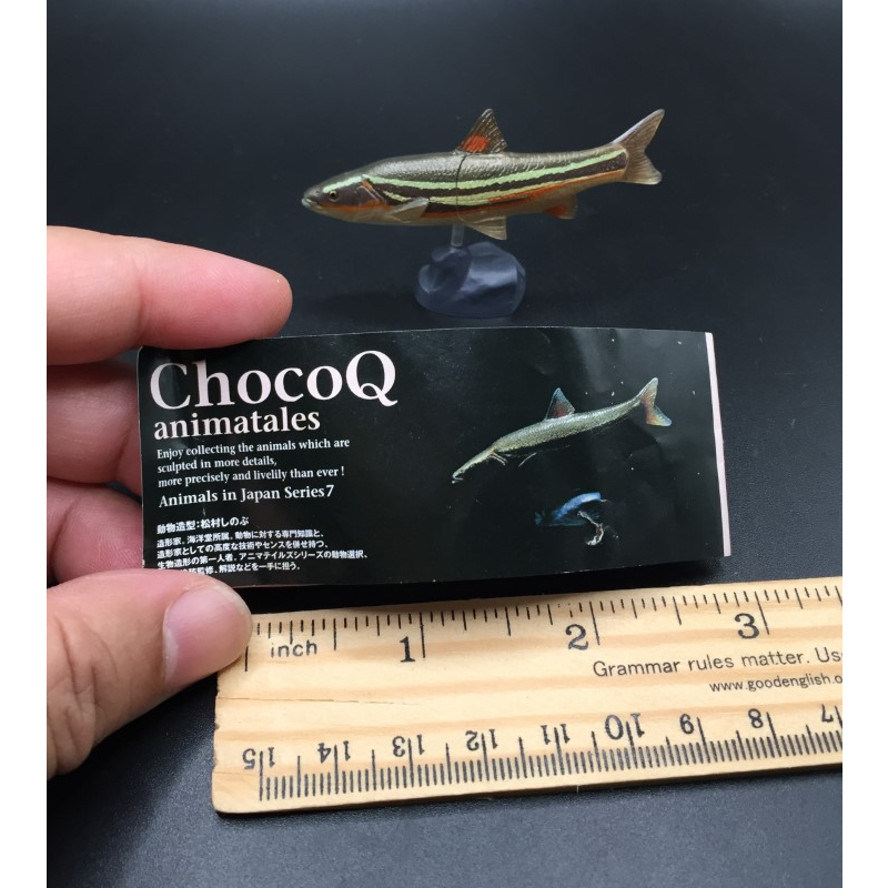 ฟิกเกอร์ สัตว์จิ๋ว ปลา Japan Kaiyodo Choco Q Masu Trout Fish Realistic Animal Mini Figure Miniature