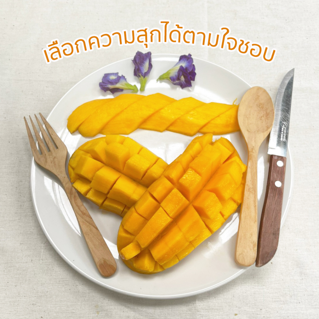มะม่วงมหาชนก 3 กิโลกรัม 75 บาท!! สดจากสวน โดย จาวสวน