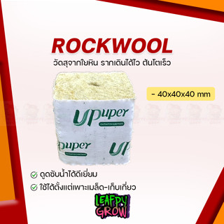 ใหม่！ UPuper ROCKWOOL ร็อควูล วัสดุใยหินปลูกต้นไม้ ระบบไร้ดิน เพาะเมล็ด - เก็บเกี่ยว ต้นเจริญเติบโตได้ดี