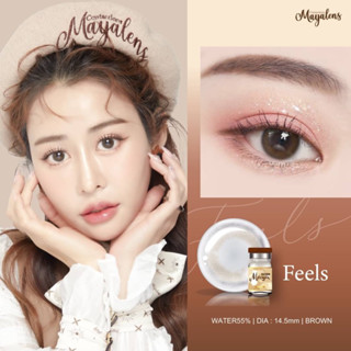 Feels brown คอนแทคเลนส์ (Mayalens ค่าอมน้ำ 55%)