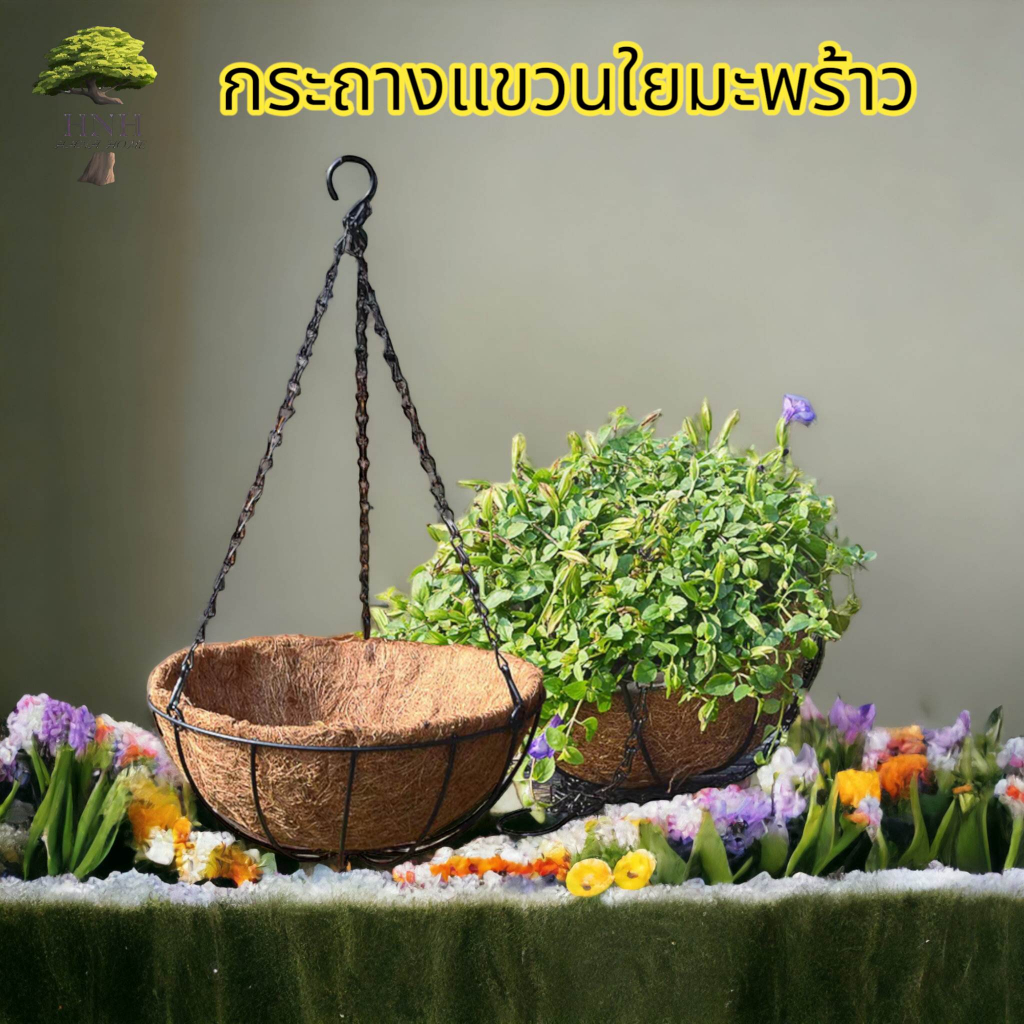 กระถางแขวน ใยมะพร้าว ใช้ปลูกต้นไม้ประดับ มี 4 ขนาด