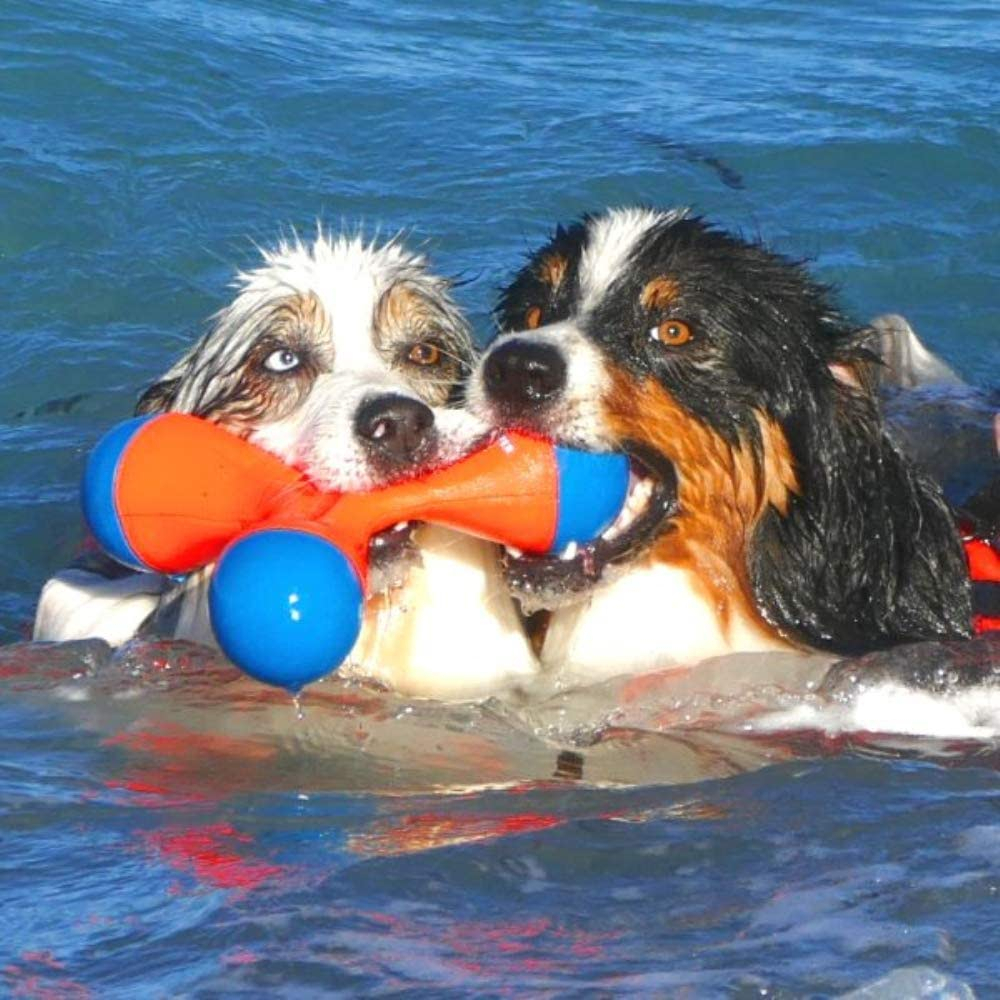 🇺🇸USA Import🇺🇸 Chuckit! Amphibious Tri-Bumper Dog Fetch Toy ของเล่นสุนัขลอยน้ำได้ บูมเมอแรง 3 แฉก — صورة 2