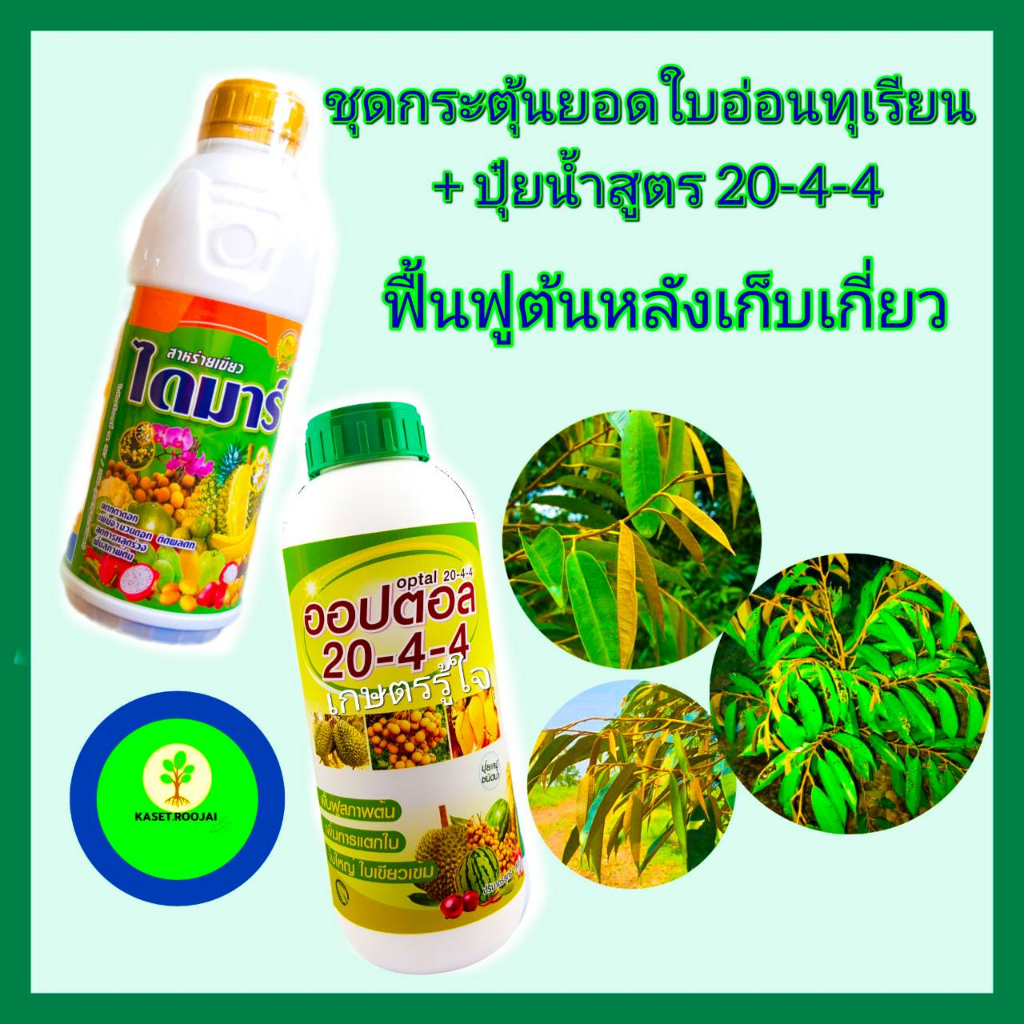 ชุด กระตุ้นยอดใบอ่อนทุเรียน +ปุ๋ยน้ำ 20-4-4 สาหร่ายเขียว ไดมาร์ 1 ลิตร+ปุ๋ยน้ำออปตอล 20-4-4  1ลิตร ฟ