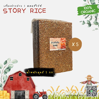 ข้าวทับทิมชุมแพ ข้าวใหม่ ชุด 5 กก. แพ็คสุญญากาศ | StoryRice