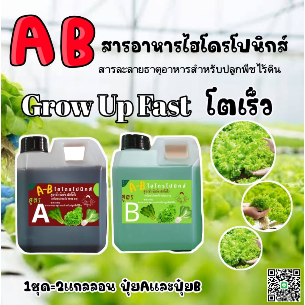 ปุ๋ย AB ไฮโดรโปนิกส์ Hydro ขนาด 1 ลิตร ซื้อ 1 ได้ 2 (A+B)
