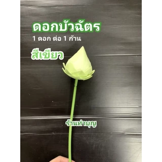 บัวฉัตร ดอกบัวฉัตร ดอกบัว ดอกบัวตูม ดอกบัวก้าน ดอกไม้ประดิษฐ์ มีหลายสี พร้อมส่ง‼️