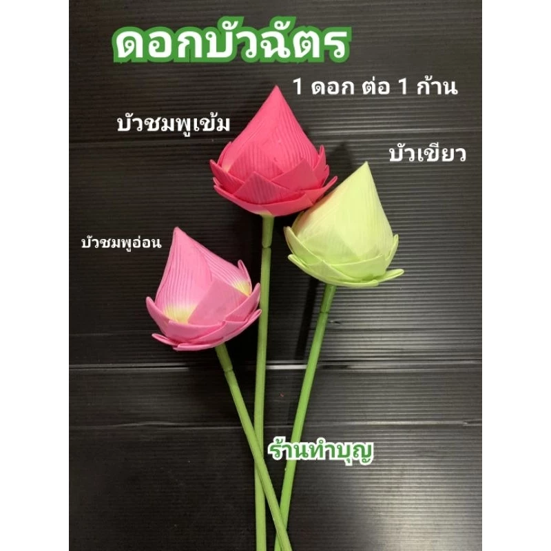 บัวฉัตร ดอกบัวฉัตร ดอกบัว ดอกบัวตูม ดอกบัวก้าน ดอกไม้ประดิษฐ์ มีหลายสี พร้อมส่ง‼️