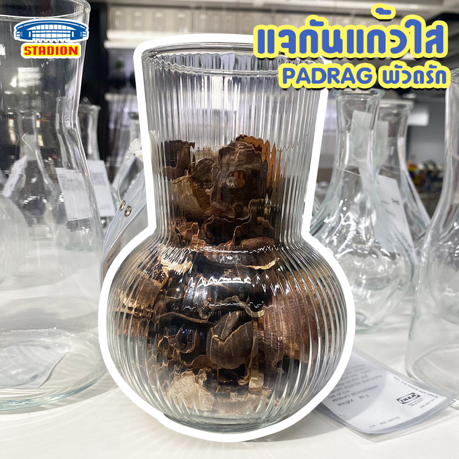 แจกัน PÅDRAG พัวดรัก ของแท้ พร้อมส่ง