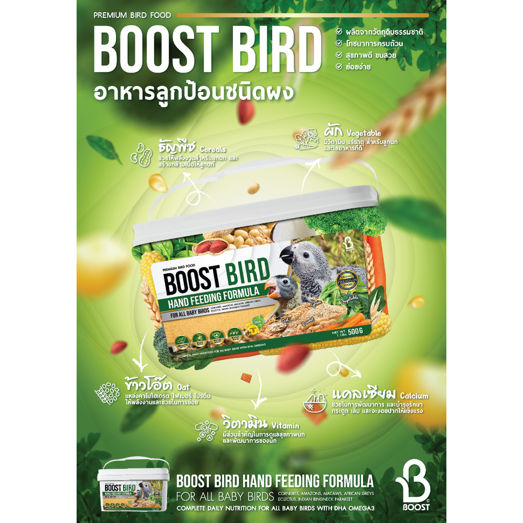 Boost طعام تغذية يدوية لصغار الطيور 500 غ — صورة 4