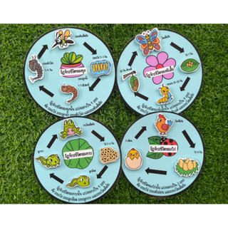 วัฏจักรชีวิตของสัตว์ สื่อการสอนวิชาวิทยาศาสตร์ 🐔🐸🦋🦟(ขออนุญาตรับออเดอร์สินค้า 2 ชิ้นขึ้นไปค่ะ)