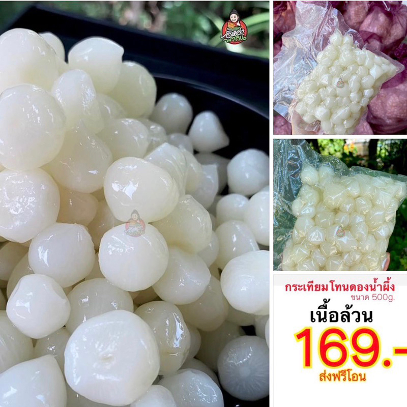 กระเทียมเนื้อล้วน แพคละ 169฿ ดองเข้าเนื้อ หวานพอดี