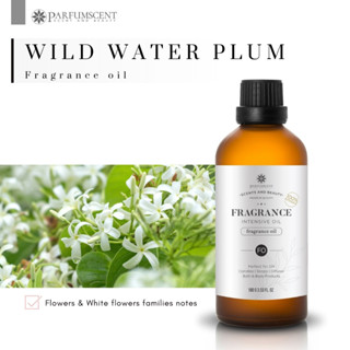 PARFUMSCENT หัวน้ำหอม Wild Water Plum fragrance oil FOP5076852