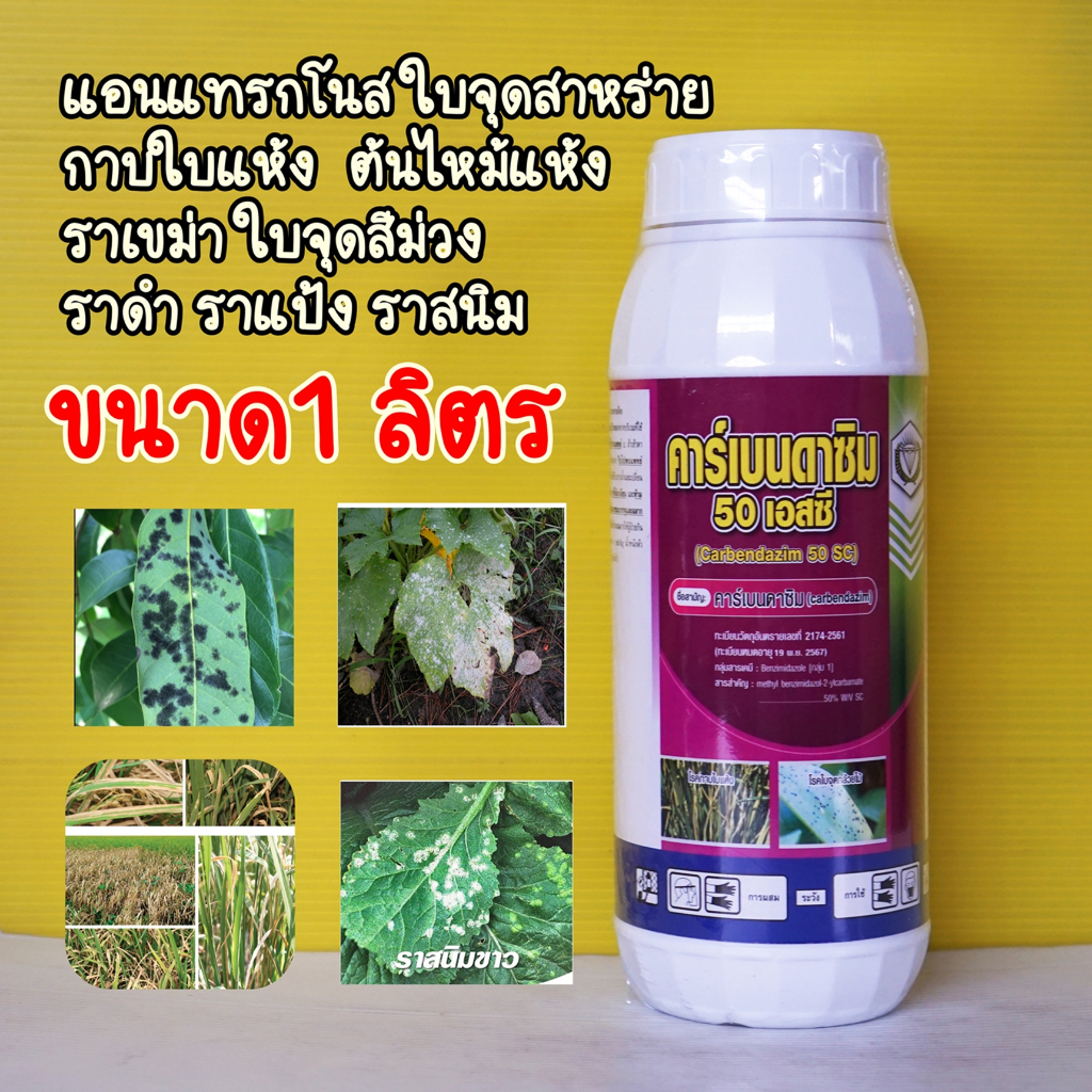 เบ็นแวรี่ ตราหมาแดง ( คาร์เบนดาซิม 50%SC ) ขนาด 1 ลิตร  ยาเชื้อรา โรคราแป้ง โรคแอนแทรคโนส ราสนิม โรคใบจุดตากบ
