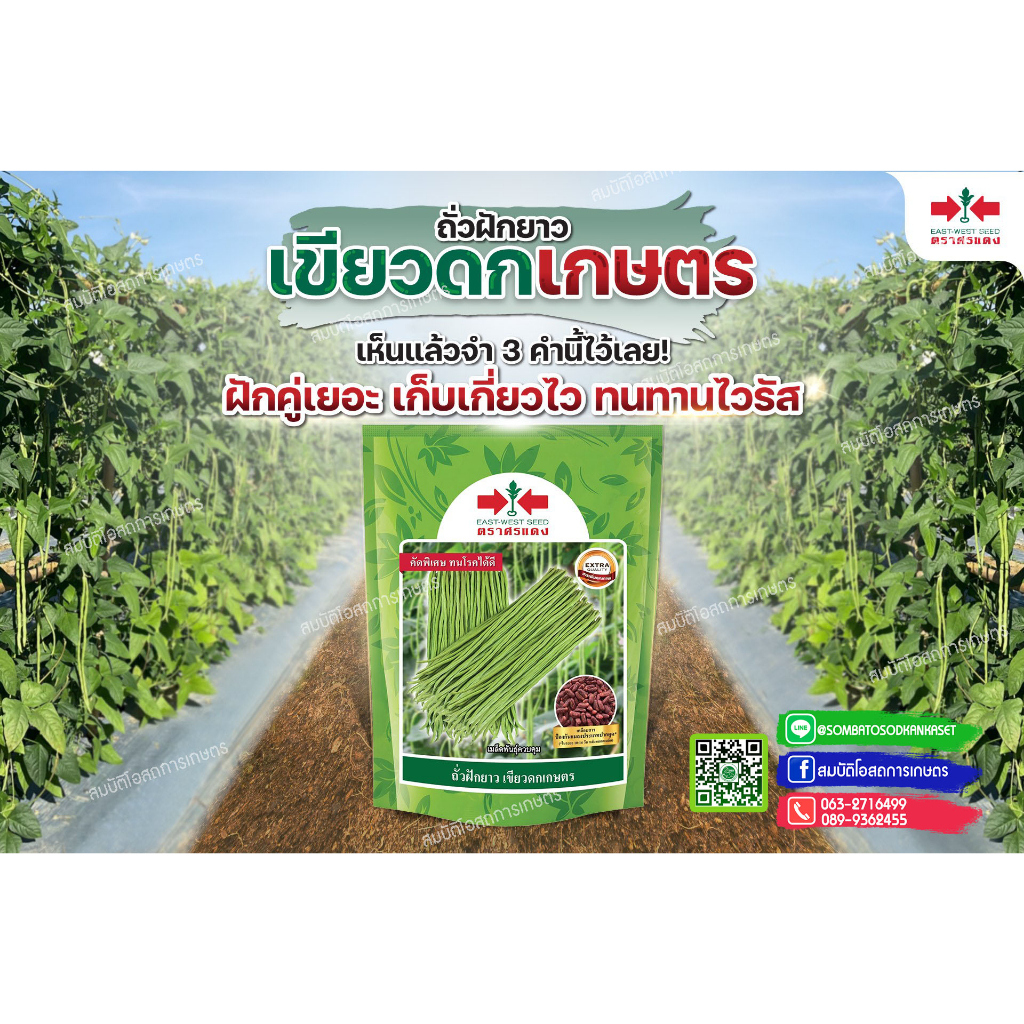ถั่วฝักยาวเขียวดกเกษตร 500 กรัม