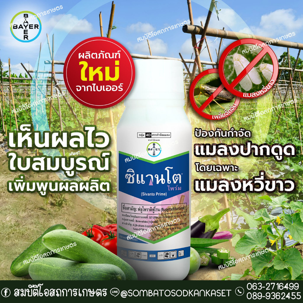 ซิแวนโต ไพร์ม ปราบแมลง เพลี้ย เห็นผลไว ใบสมบูรณ์ เพิ่มพูนผลผลิต ( 250 ซีซี, 500 ซีซี )