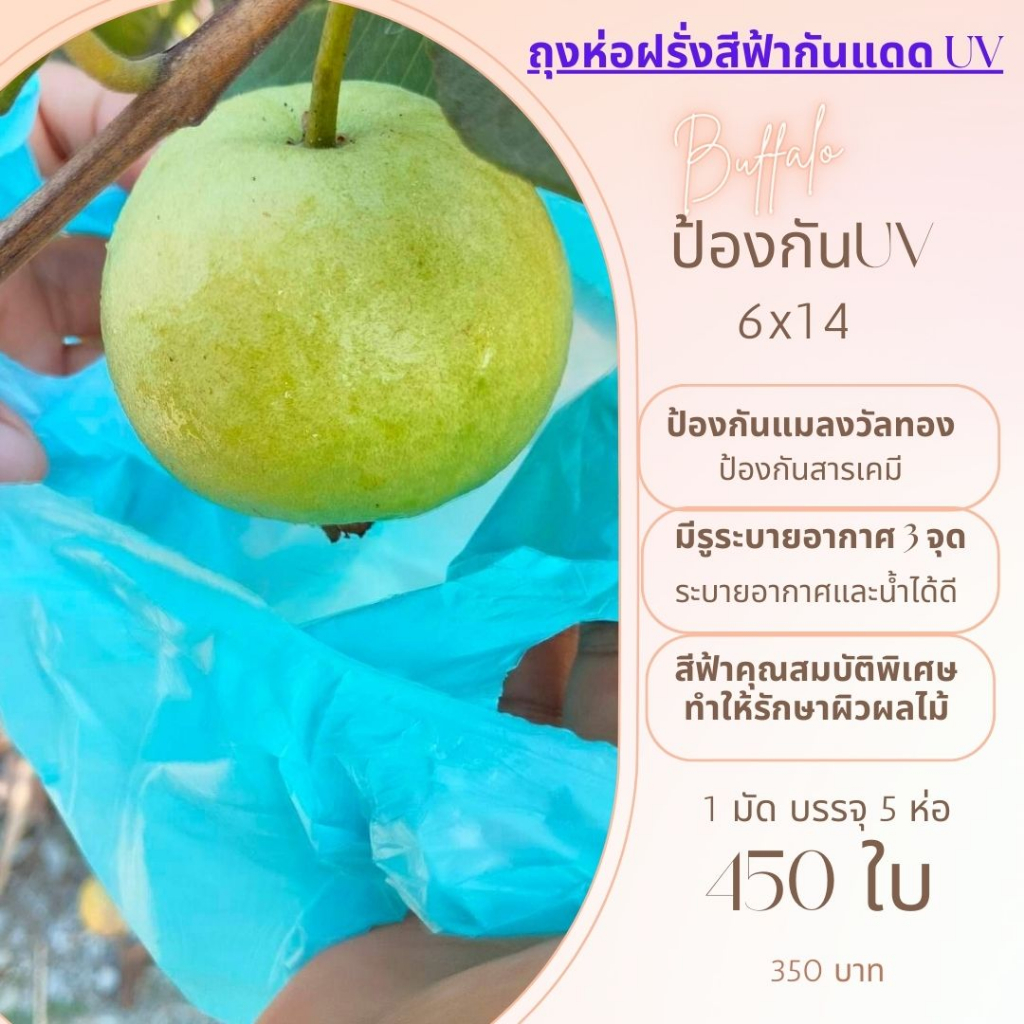 ถุงห่อฝรั่งกิมจูสำเร็จรูป 5ห่อ 6x14 ถุงห่อฝรั่งสีฟ้าขาวนมกันแดดuv เกรดA+ ป้องกันแมลงวัลทอง มีรูระบายอากาศ 3 จุดใช้ซ้ำได้