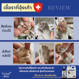 สเปรย์WoofMate 200ml บรรเทาอาการเชื้อรา ยีสต์ เรื้อน ลดอักเสบ คันเกา แผลถูกกัด แผลติดเชื้อ แผลกดทับ แผลเรื้อรัง