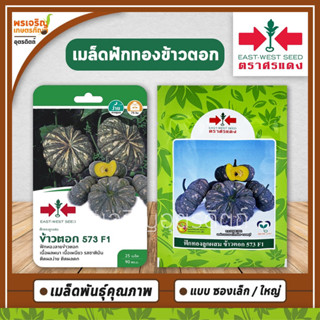 เมล็ดพันธุ์ ฟักทองลูกผสม ข้าวตอก 573 F1 (แบบซอง 25 เมล็ด, 20 กรัม) เมล็ดฟักทองลายข้าวตอก เมล็ดพันธุ์ผักสวนครัว ตราศรแดง