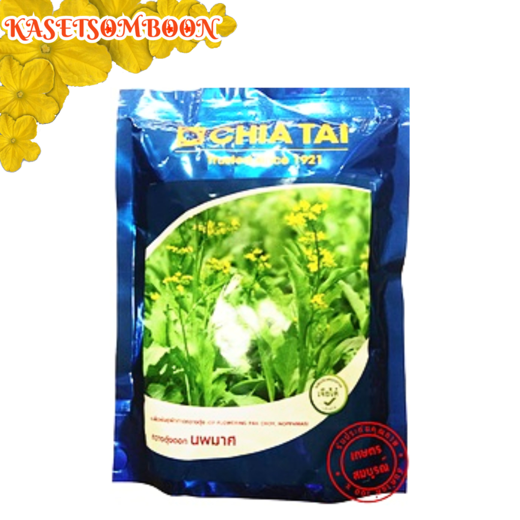 กวางตุ้งเจียไต๋  เมล็ดพันธุ์กวางตุ้งดอกนพมาศ (ผักกาดจ้อน) 500 ก.