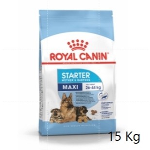 Royal canin Maxi Starter 15  kg อาหารแม่สุนัข และลูกสุนัขพันธุ์ใหญ่ ชนิดเม็ด (MAXI STARTER)