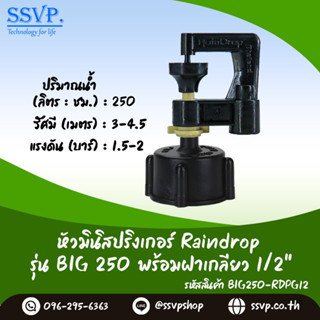 มินิสปริงเกอร์ รุ่น BIG พร้อมฝาครอบเกลียวใน ขนาด 1/2" ปริมาณน้ำ 250 ลิตร/ชั่วโมง รหัสสินค้า BIG-250-RDPG12