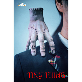 ZBOBtoys SZ2301 : TINY Thing (กล่องยับ)