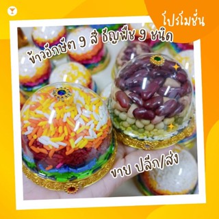 ข้าวอักษัต 9 สี ถั่วธัญพืช 9 ชนิด