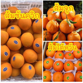 พร้อมส่ง‼️(1KG) ส้มซันควิกสด ส้มไต้หวั่น ส้มจุกสเ ส้มนาเวลสด