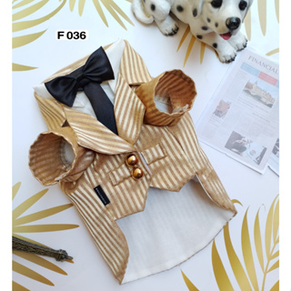 Pet cloths - Doggydolly ชุดเจ้าบ่าว สูท เสื้อผ้าสัตว์เลี้ยง เสื้อผ้าสุนัข เสื้อหมาทักซิโด้ หมาแมว สูทโบว์หน้า F036