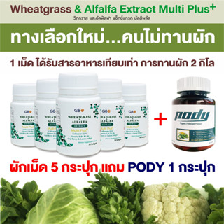 ** โปร 5 กระปุก แถมฟรี PODY 1 กระปุก ** ผักเม็ด Wheatgrass &amp; Alfalfa Extract Multi Plus+ Q10