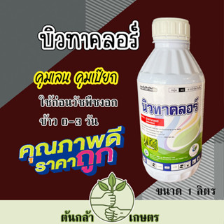 บิวทาคลอร์ ยาคุมเลนในนาข้าว ขนาด 1 ลิตร ในข้าวนาหว่านน้ำตม หญ้าดอกขาว และหญ้าข้าวนก ใบกว้าง