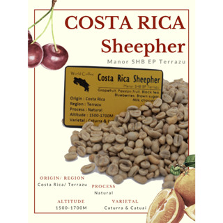 พร้อมส่ง เมล็ดกาแฟดิบ Costa Rica Sheepher Natural Process/ เมล็ดกาแฟนอก/ เมล็ดกาแฟสารคอสตาริกา