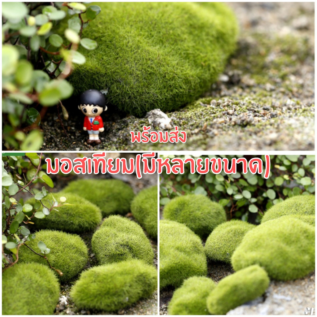 🏡พร้อมส่ง มอสก้อน มอสก้อนปลอม มอสเทียมโมเดสก้อนมอส ของจิ๋ว ของตกแต่งสวน สวนถาด บอนไซ (ราคาต่อ 1 ชิ้น)