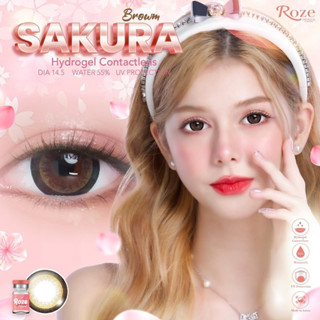 คอนแทคเลนส์ (Sakura) ตาโต