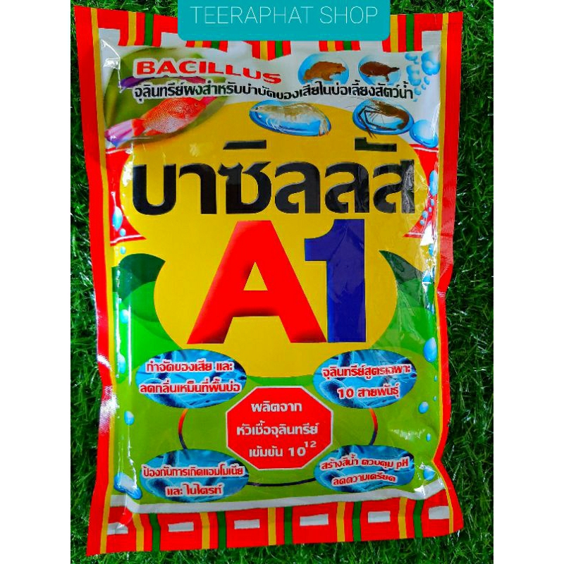 #จุลินทรีย์บ่อกุ้ง #จุลินทรีย์บ่อปลา #บาซิลลัสA1 #จุลินทรีย์ผง #น้ำใส