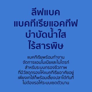 Livbac แบคทีเรียระบบกรอง เซ็ตระบบกรองชีวภาพ ใส่ครั้งเดียว 1 ซอง