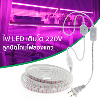 220v 5m 10m 15m 20m ไฟเส้น led ไฟปลูกต้นไม้ กันน้ำ 2835 Grow Light Full Spectrum สำหรับพืช ดอกไม้ โรงเรือน ไฮโดรโปนิกส์