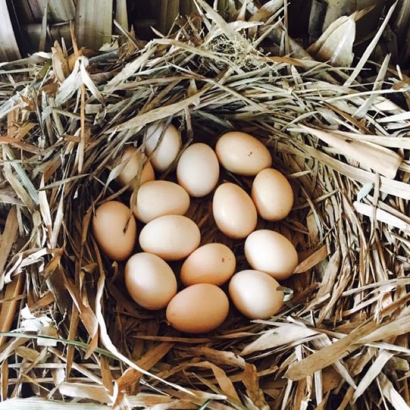 รูปภาพ 5