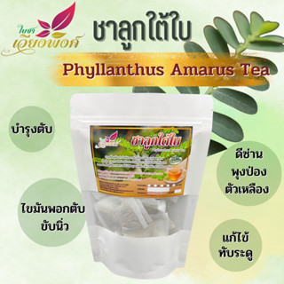 🥃❇️ชาลูกใต้ใบ ฟื้นฟูบำรุงตับ โรคตับ(Phyllanthus niruri)ไวรัสตับอักเสบ,ดีซ่านตัวเหลือง,พุงป่อง,ไขมันพอกตับบำรุงฟื้นฟู