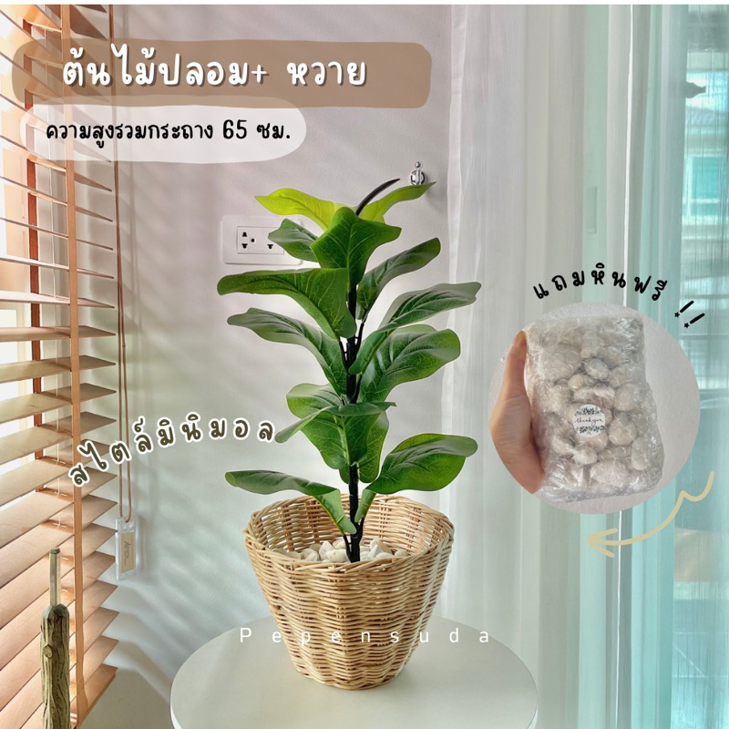 ((ราคาทั้งชุด)) ต้นไม้ปลอม 12 ใบ+กระถางหวาย+หินตกแต่ง สูง 65 ซม. ต้นไม้ปลอมตกแต่งบ้าน สไตล์มินิมอล พร้อมส่ง