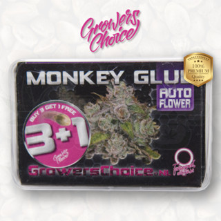 Monkey Glue (Auto) - Growers Choice เมล็ดกัญชา นำเข้าแท้100% เมล็ดเพศเมีย