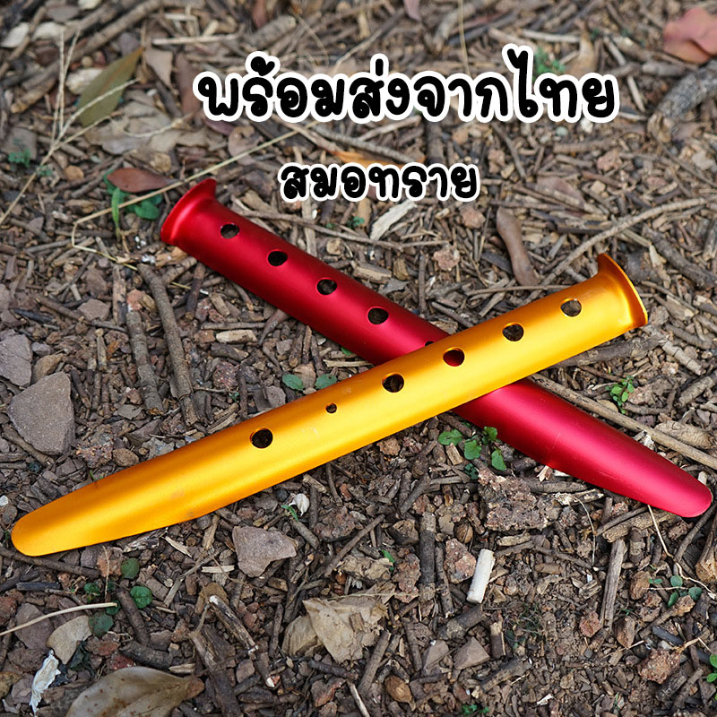พร้อมส่งจากไทย สมอบกทราย,สมอทราย ความยาว 31cm.