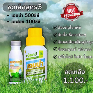 ปุ๋ยน้ำ เอมม่า 500 CC + เอฟอช 100 cc ป้องกันและยับยั้งการเกิดเชื้อราในพืช รากเน่า ผลเน่า ใบไหม้ ใบหงิก พร้อมบำรุงดูแลพืช