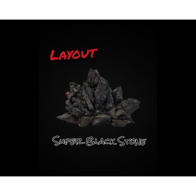 Layout หิน Black Stone จัดตกแต่งตู้ไม้น้ำ ตู้ปลา ตู้ไม้ชื้น