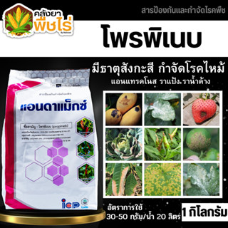 🌽 แอนดาแม็กซ์ (โพรพิเนบ) 1กิโลกรัม ป้องกันเชื้อราใบจุด ราน้ำค้าง แอนแทรคโนส