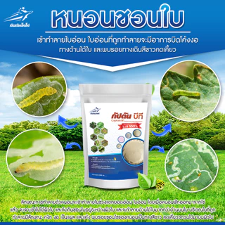 กัปตันบีที สูตรเข้มข้นเชื้อ 2 เท่า อัพอาหารเชื้อ บาซิลลัส ทูริงเยนซิส แบบผง(100กรัม) ปลอดภัย 100%