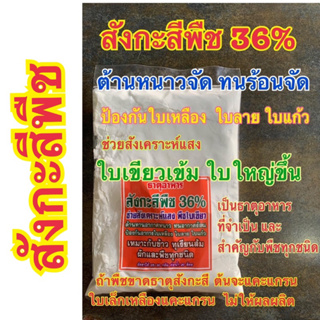 สังกะสีพืช 36% ปุ๋ย อาหารพืช  ต้านหนาวจัด ทนร้อนจัด ช่วยสังเคราะห์แสง ใบเขียวเข้ม  ป้องกันใบเหลืองใบลาย โรคใบแก้ว