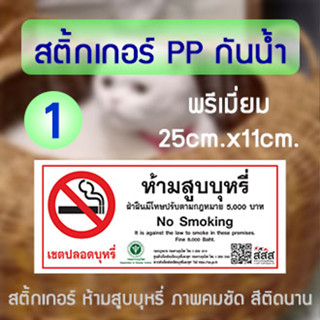 สติ้กเกอร์ห้ามสูบ PP กันน้ำ พรีเมี่ยม ห้ามสูบบุหรี่ NO smoking ภาพคมชัด สีติดทนนาน