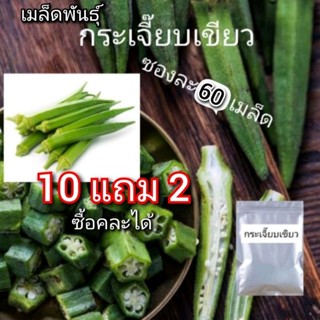 เมล็ดพันธุ์ กระเจี๊ยบเขียว 60เมล็ด (10ซองแถม2 คละได้)​ เมล็ดพันธุ์ดี กระเจี๊ยบมอญ ปลูกง่าย ปลูกในกระถางได้